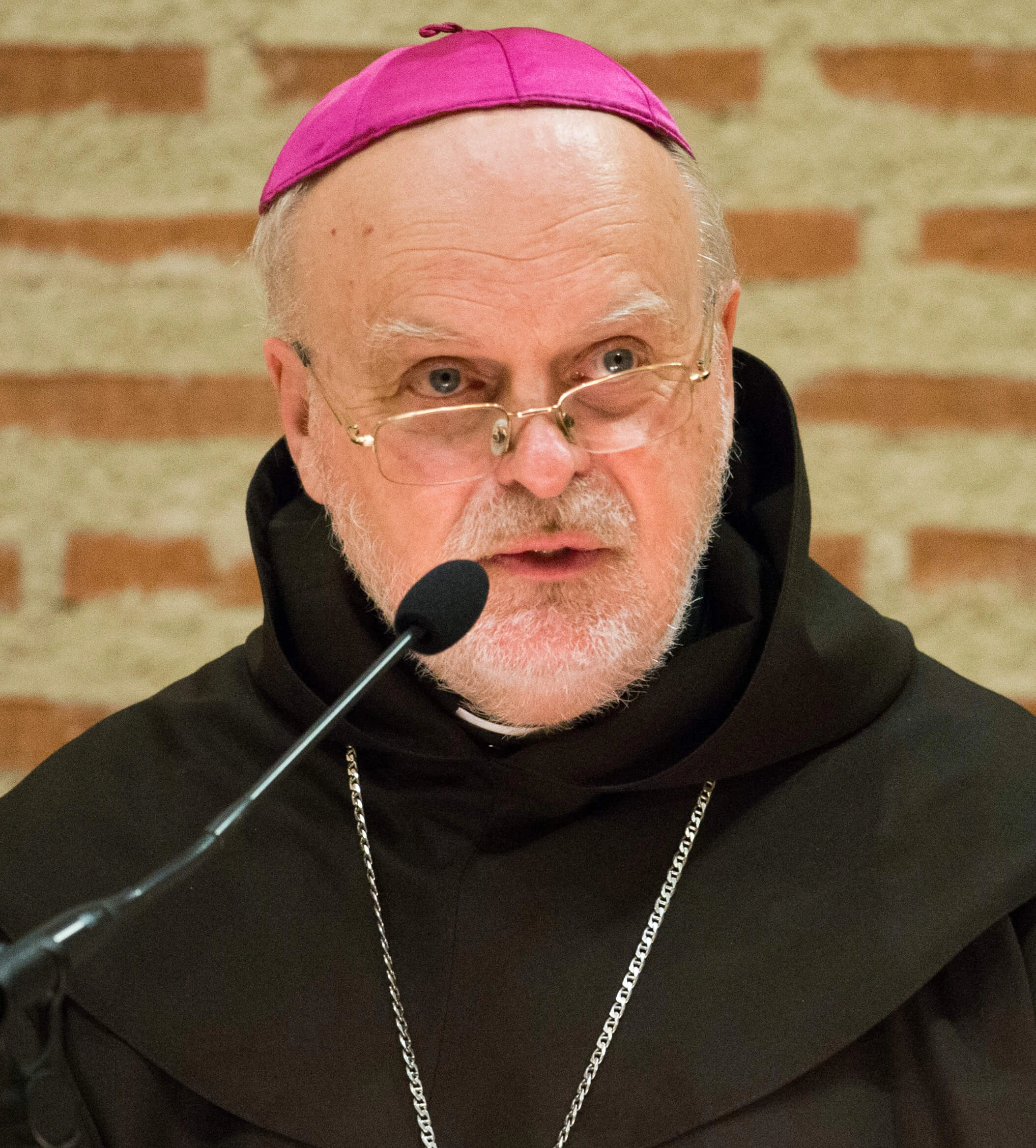 cardinal image