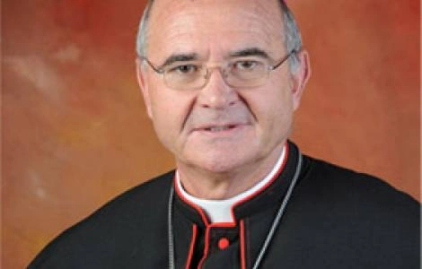 cardinal image